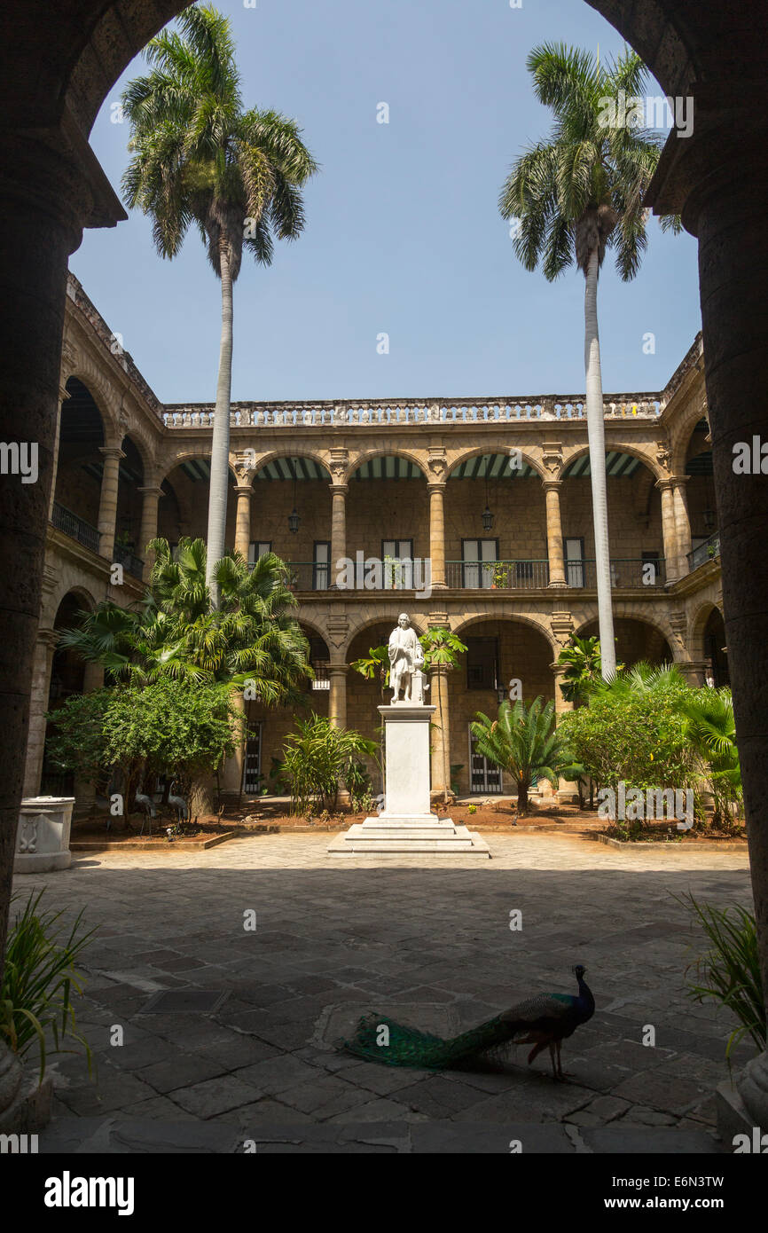 Hof, Palacio de Los Capitanes Generales, Havanna, Kuba Stockfoto