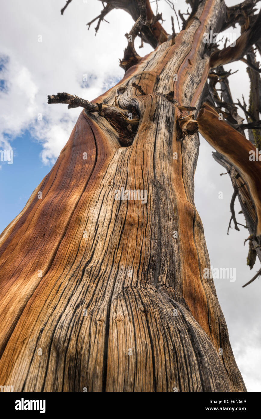 Verwitterte Haken in Idaho Sawtooth Mountains. Stockfoto