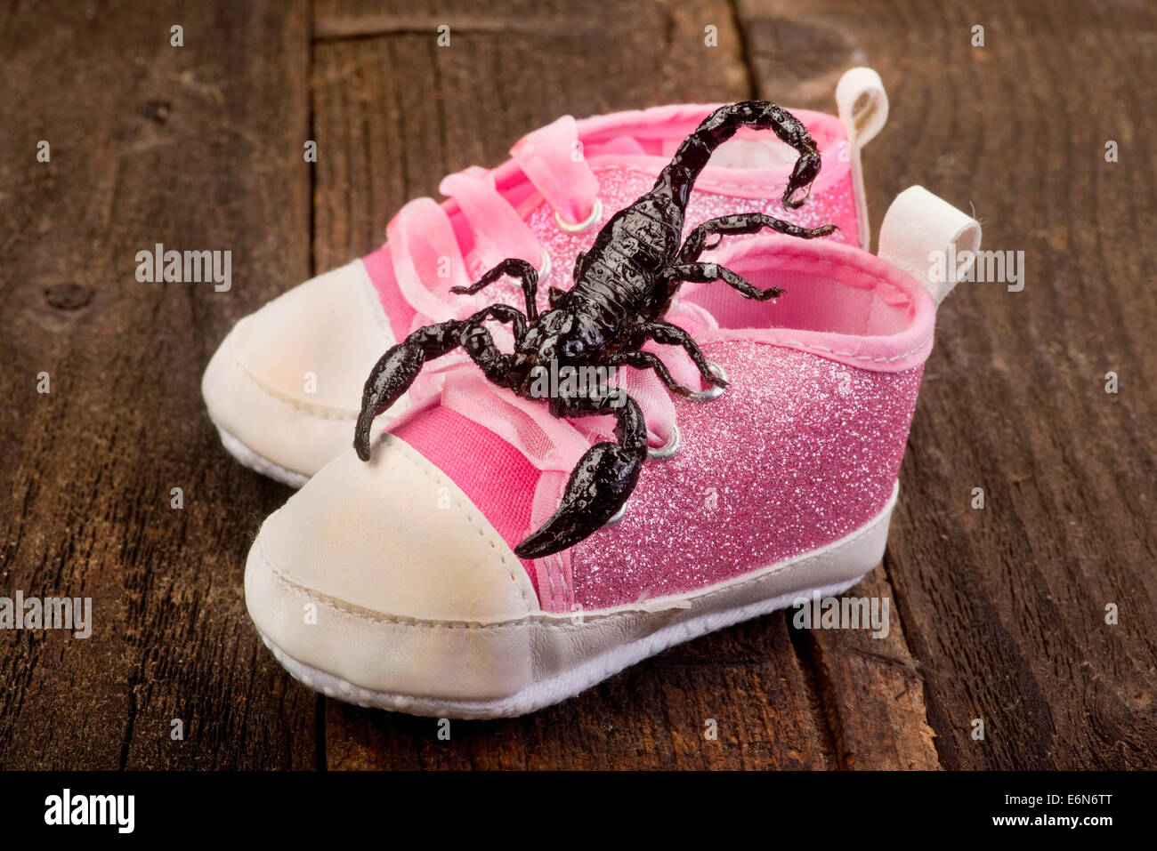 Überprüfen Sie Ihre Schuhe für ein Skorpion. Stockfoto