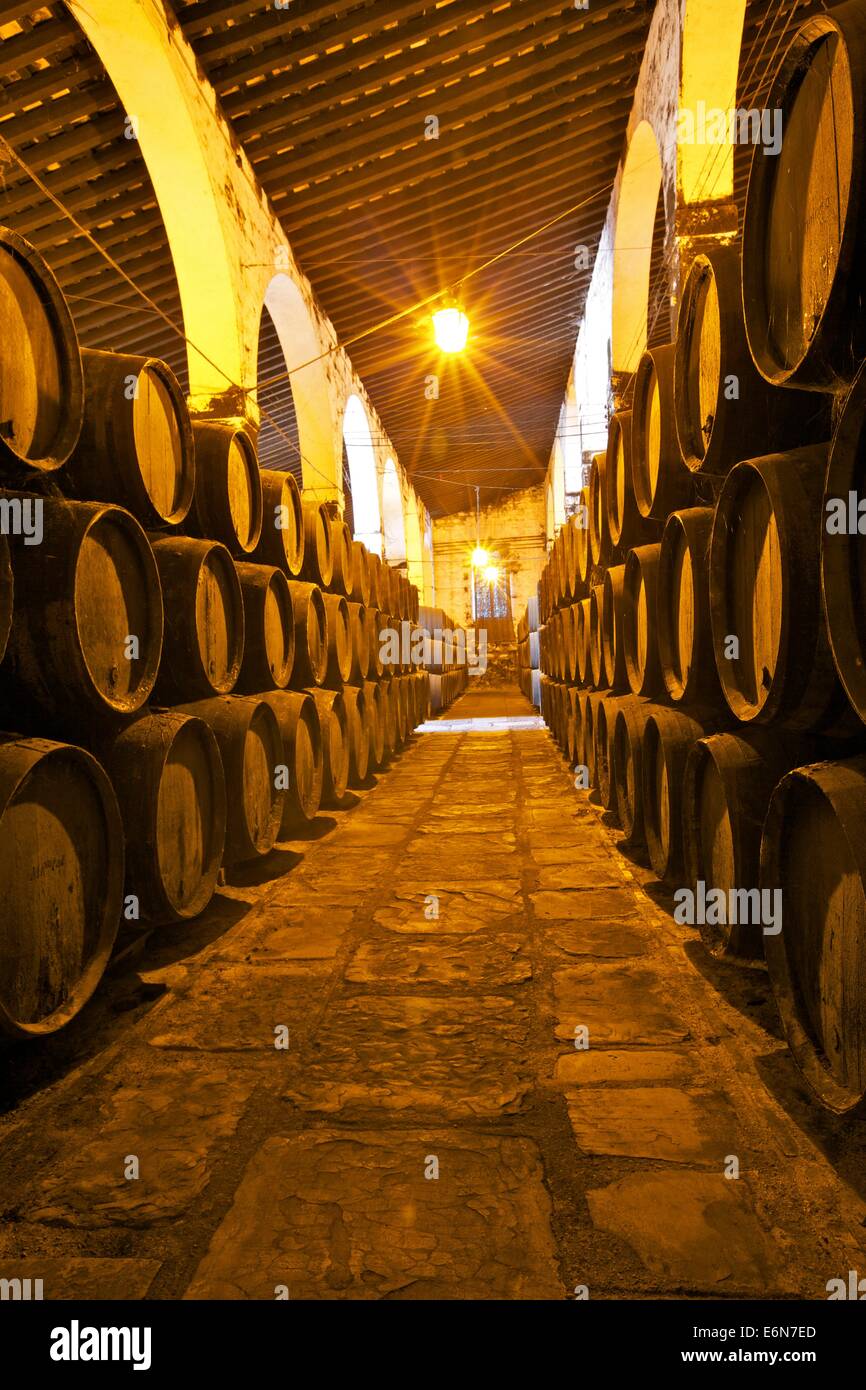 Bodegas Harvey, Jerez De La Frontera, Provinz Cadiz, Andalusien, Spanien, Süd-West-Europa Stockfoto
