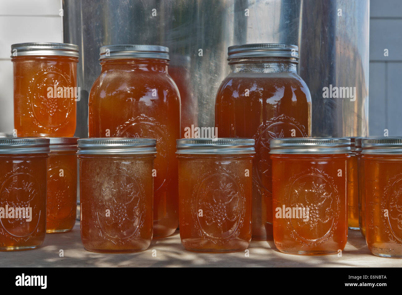 Honig in Pint & 2 Quart Gläser. Stockfoto