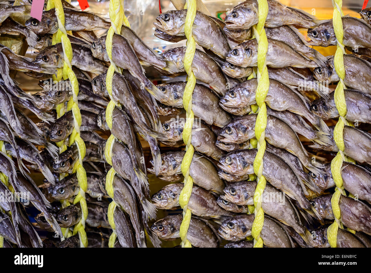 getrockneter Fisch am Gwangjang Markt in Seoul, Südkorea Stockfoto