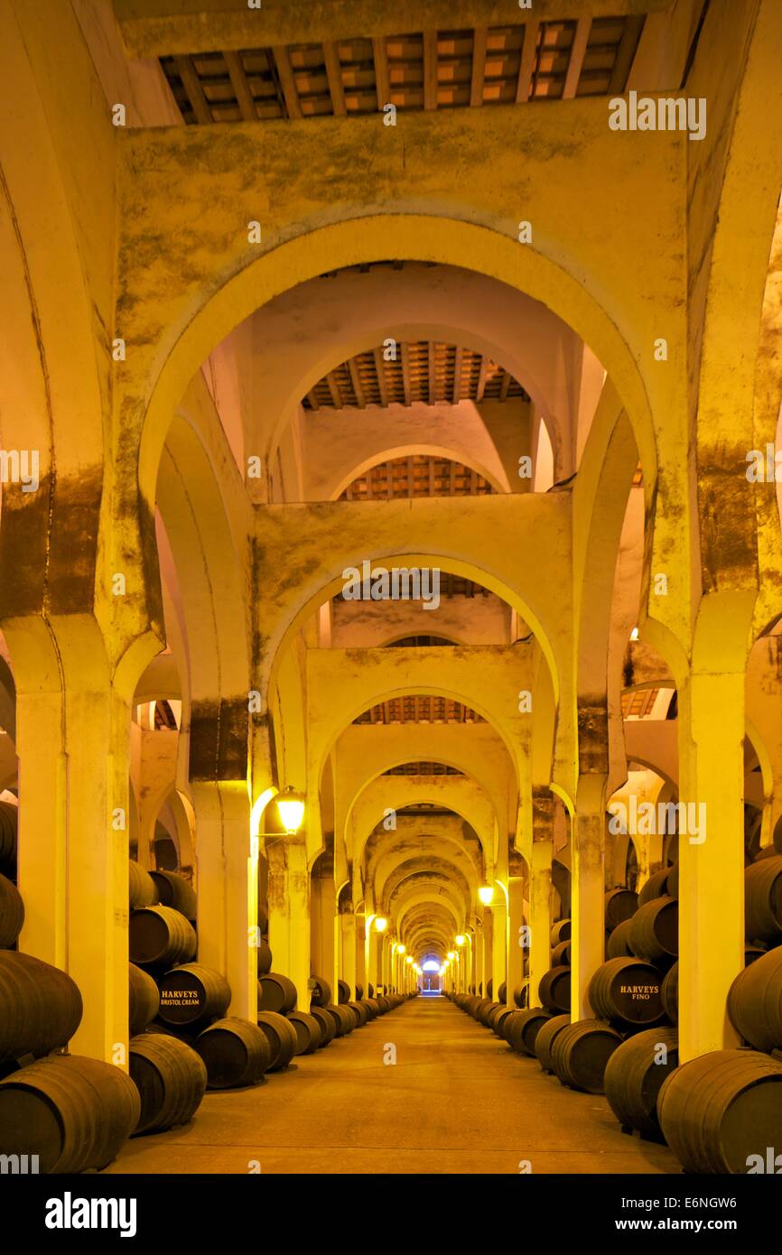 Bodegas Harvey, Jerez De La Frontera, Provinz Cadiz, Andalusien, Spanien, Süd-West-Europa Stockfoto