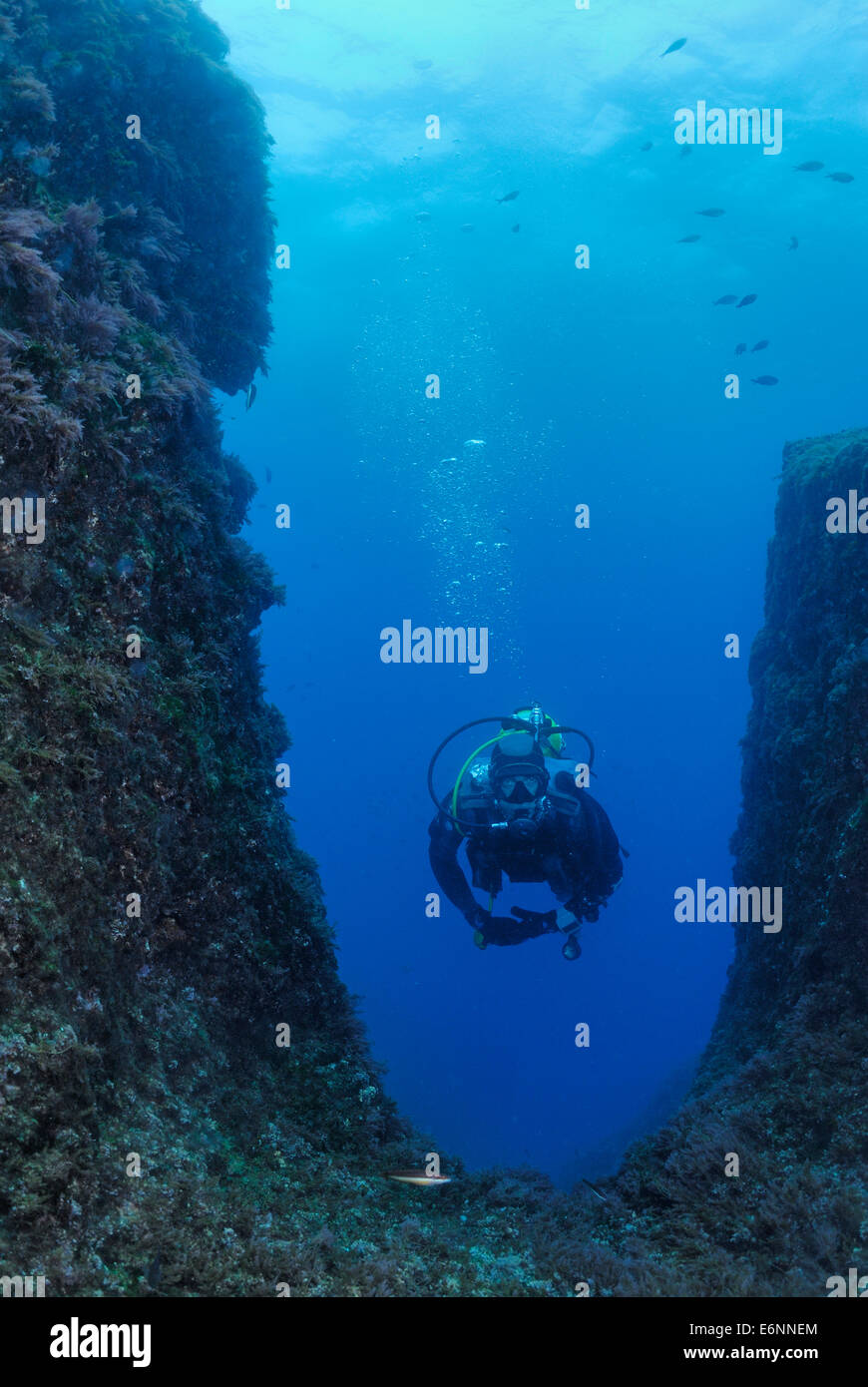 Taucher Schwimmen von Unterwasser Felsformation, Mittelmeer, Frankreich, Europa Stockfoto