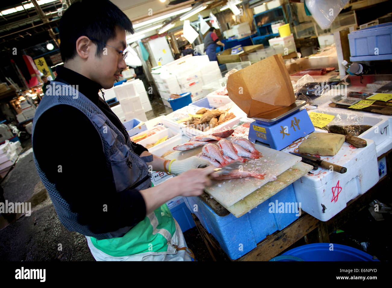 Tsukiji Fischmarkt, Tokio, Japan, Asien, der größte Großhandel Meeresfrüchte-Markt in der Welt. Mann Reinigung Fisch Stockfoto