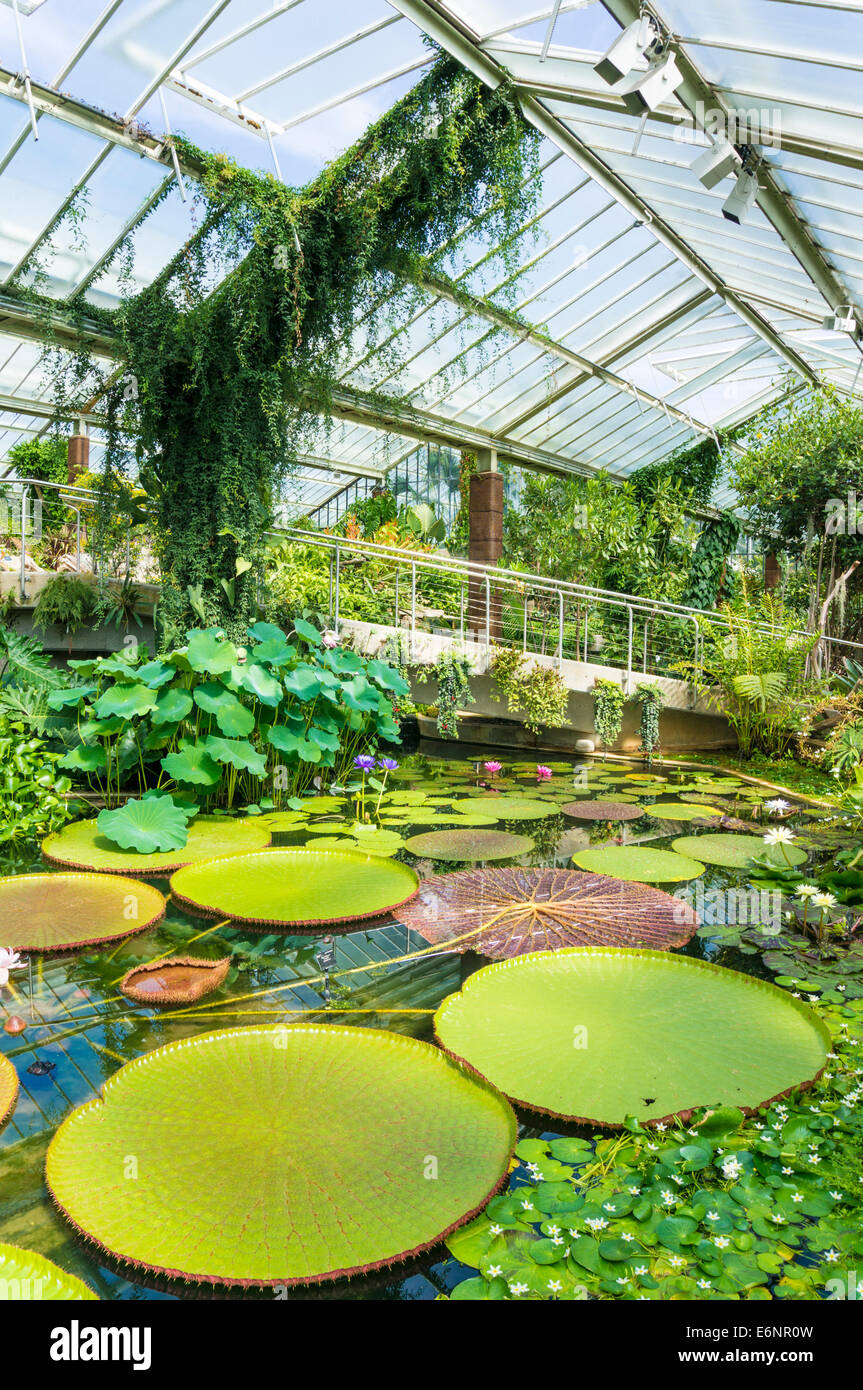 Prinzessin von Wales Conservatory Kew Gardens London England UK GB EU Europa Stockfoto