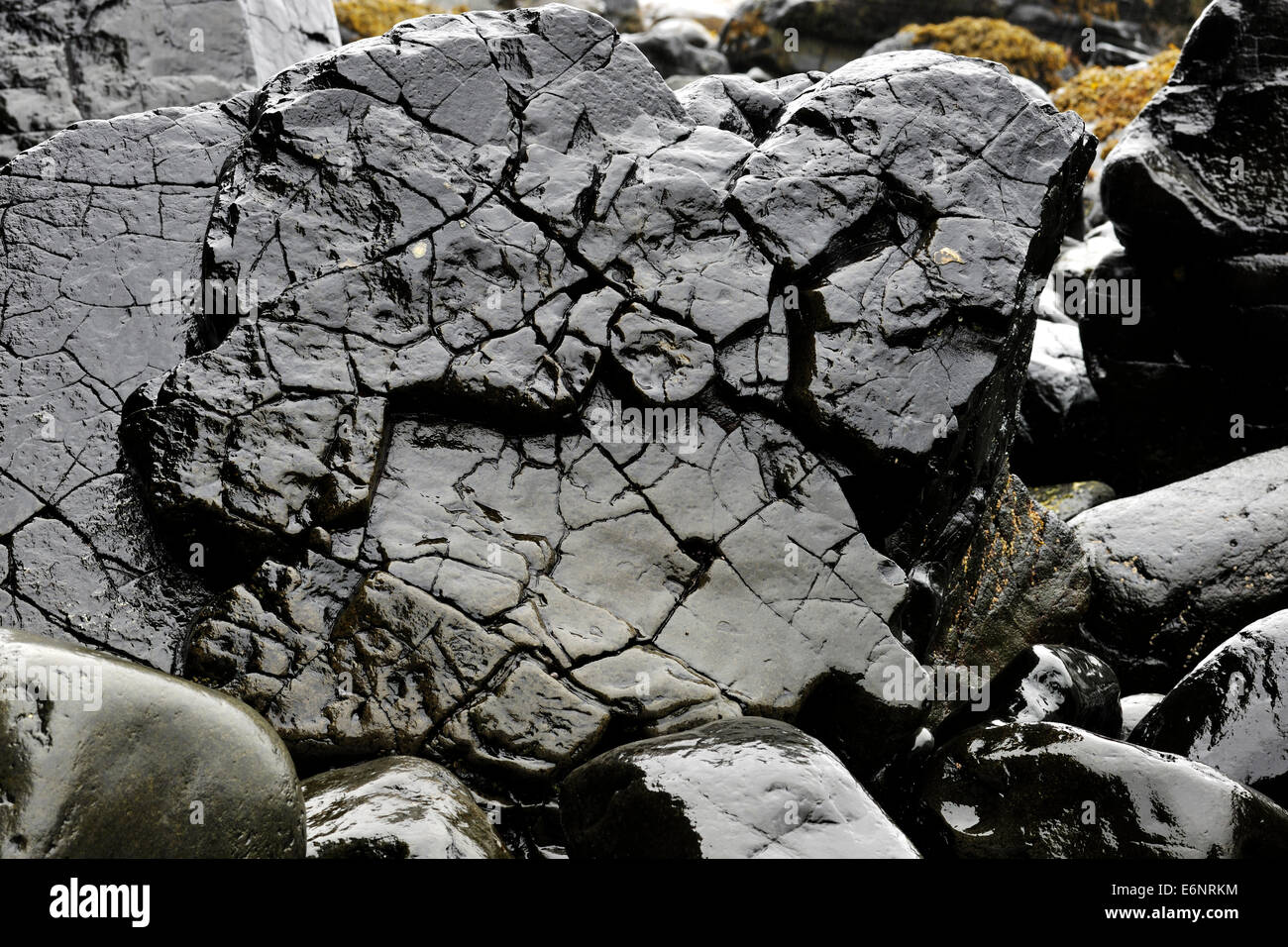 Glitzernde Basaltgestein Talisker Bay, Isle Of Skye, Schottland Stockfoto