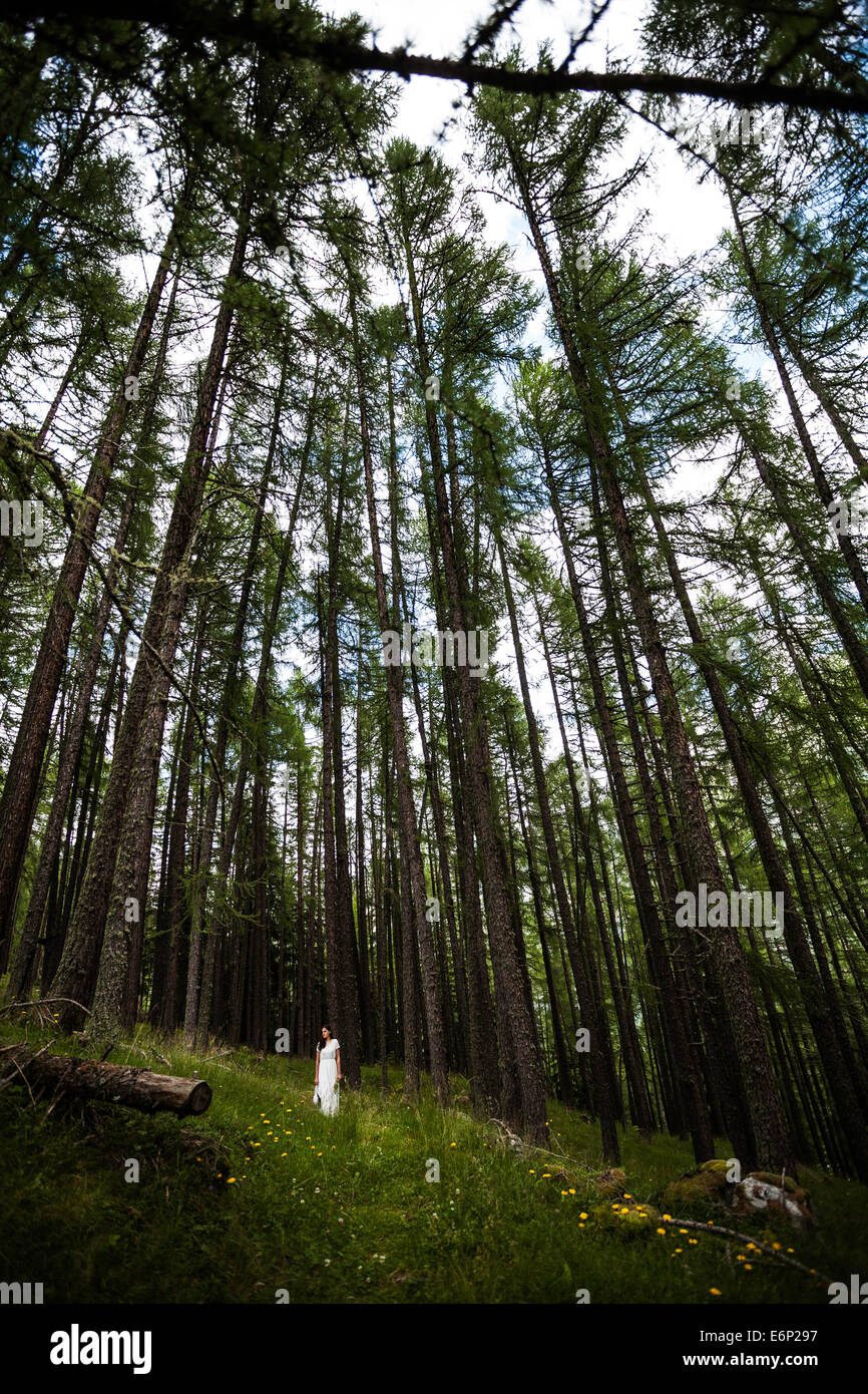 Frau im weißen Kleid zu Fuß in einem Wald mit großen Bäumen Stockfoto