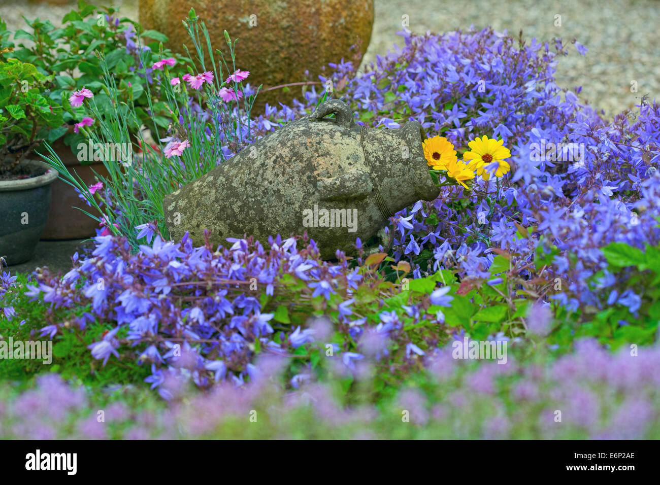 Wunderschönen Bauerngarten. Stockfoto