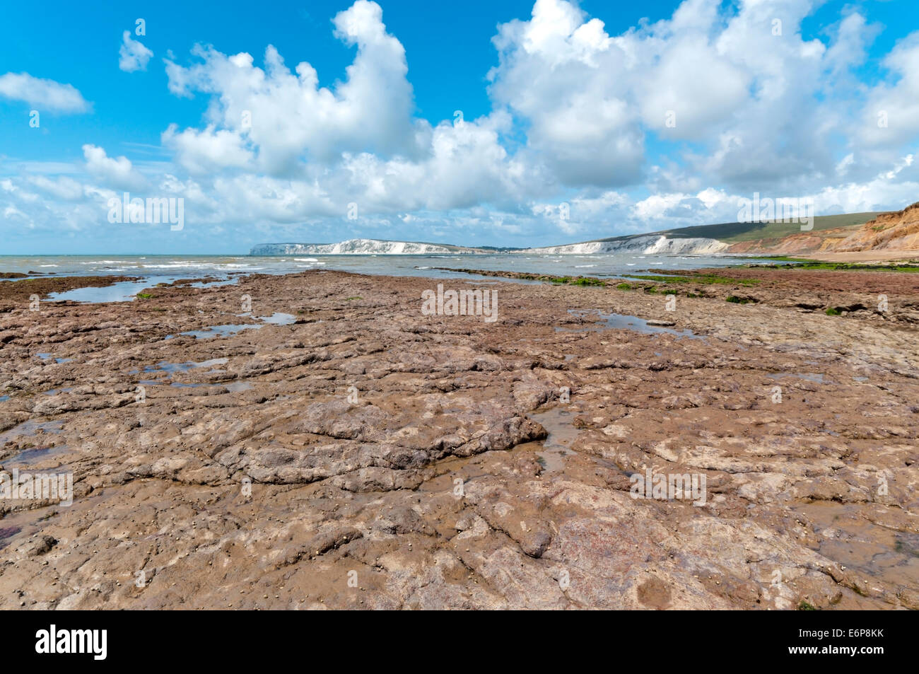 Eine Welle-Schnitt-Plattform bei Brook Bucht an der Südküste der Insel von Wight. Stockfoto