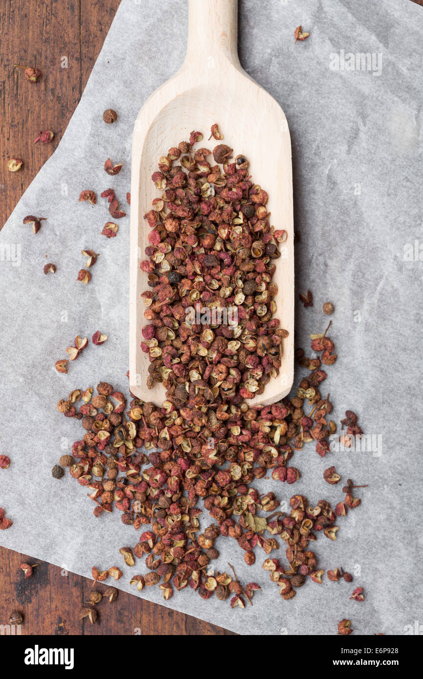 Sichuan-Pfeffer oder Szechuan-Pfeffer (Zanthoxylum Piperitum) Stockfoto