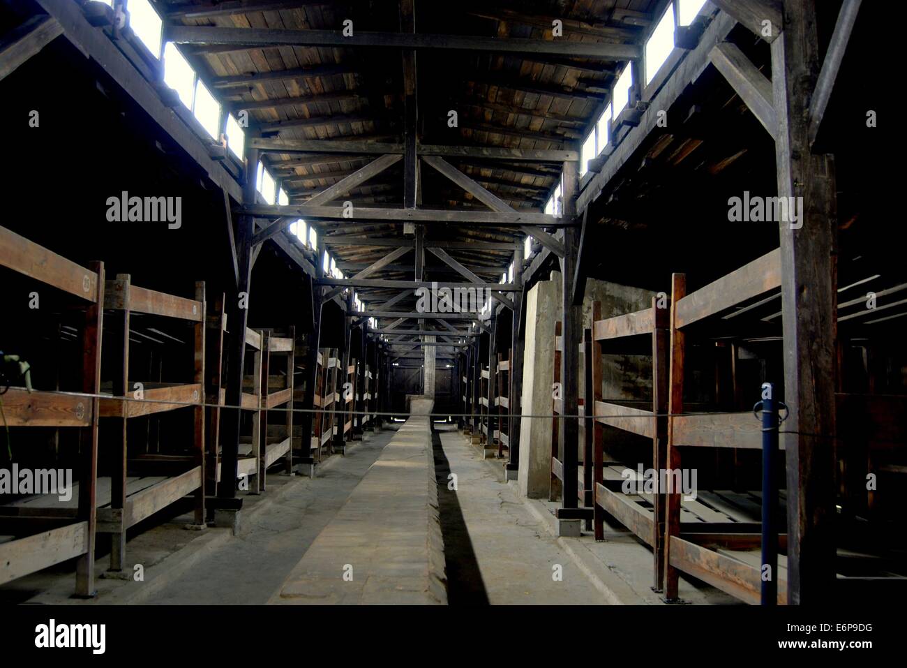 AUSCHWITZ-BIRKENAU, Polen: Häftlinge im Konzentrationslager Birkenau schlief in Reihen von Triple-Tier und nummerierte Holzbett b Stockfoto