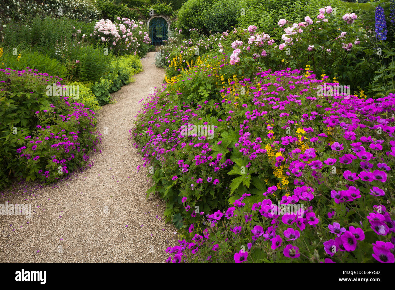Bunte Staudenrabatten im Frühsommer Linie einen Kiesweg innerhalb der ummauerten Garten Rousham House, Oxfordshire, England Stockfoto