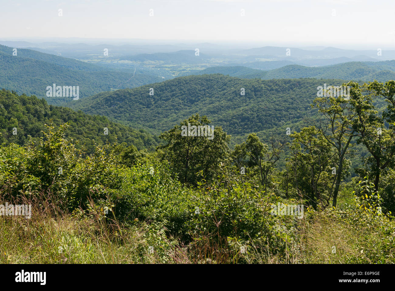 Overlook Mountain Vista aus Buck hohlen, Skyline Drive, Shenandoah-Nationalpark, Virginia Stockfoto