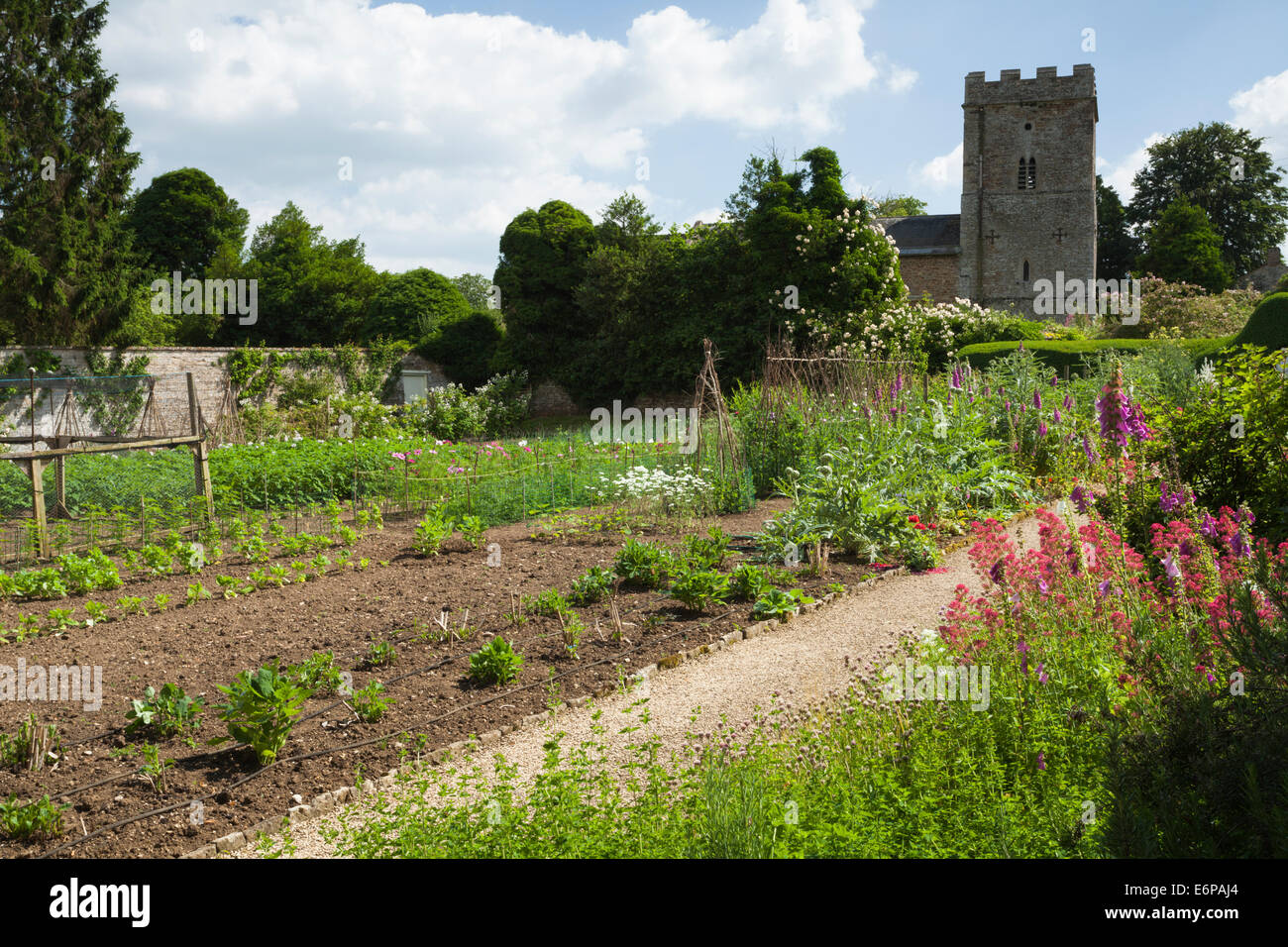 Blumen wachsen innerhalb der großen ummauerten Gemüse Garten des Rousham House bestäubende Insekten, Oxfordshire, England zu gewinnen Stockfoto