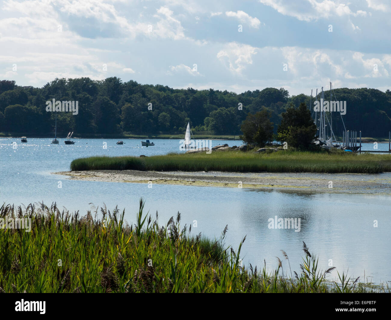 Segelboote im Hafen von Cos Cob aus Riverside, Riverside, CT, USA Stockfoto