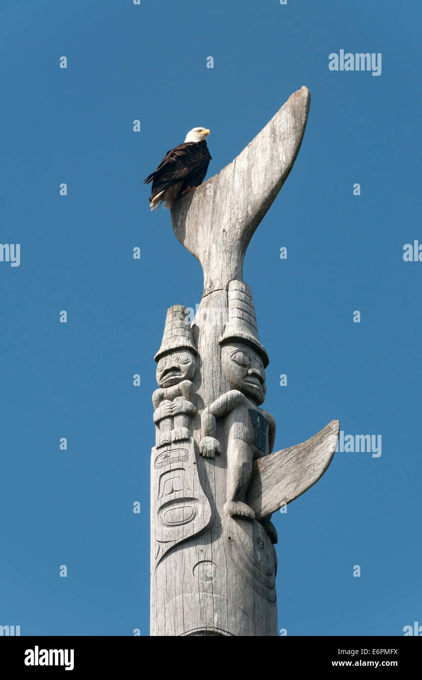 Elk203-4514v Kanada, British Columbia, Haida Gwaii, Skidegate, Bill Reids Haida Totempfahl w Weißkopf-Seeadler Stockfoto