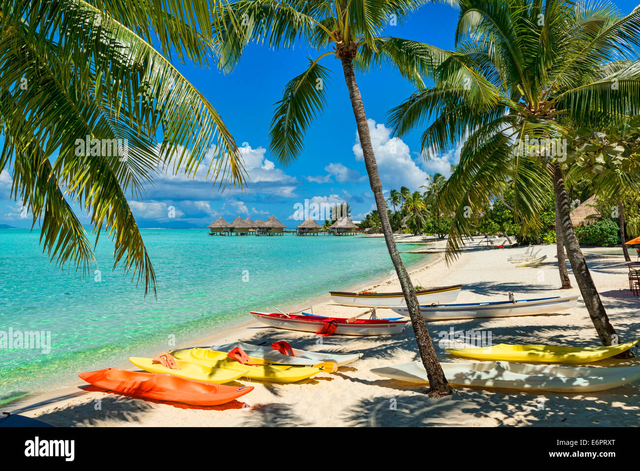 Boote am Strand unter Palmen, Südsee, Bora Bora, Französisch-Polynesien Stockfoto