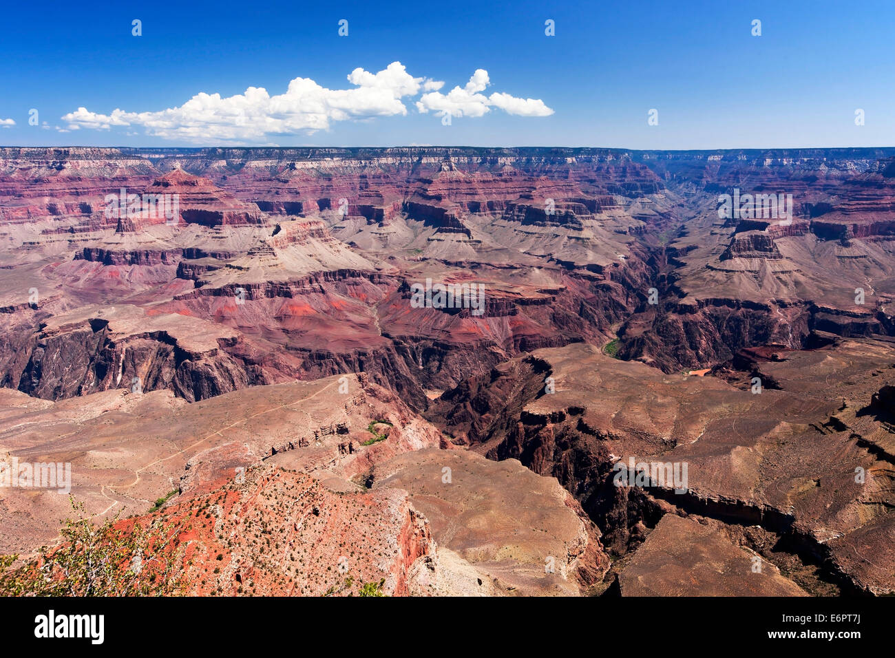 Blick vom Südrand des Grand Canyon, Arizona, Amerika, USA Stockfoto