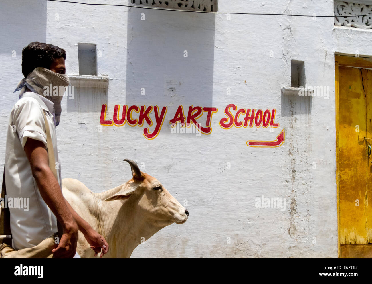 Mensch und Kuh vorbei an einem Gebäude Werbung der Lucky Kunstschule in Udaipur, Rajasthan, Indien Stockfoto
