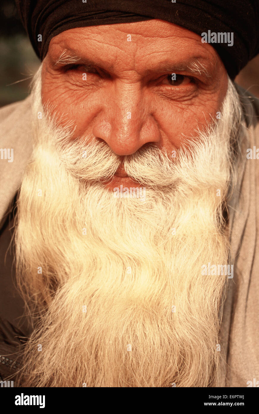 Sikh Mann (Indien) Stockfoto