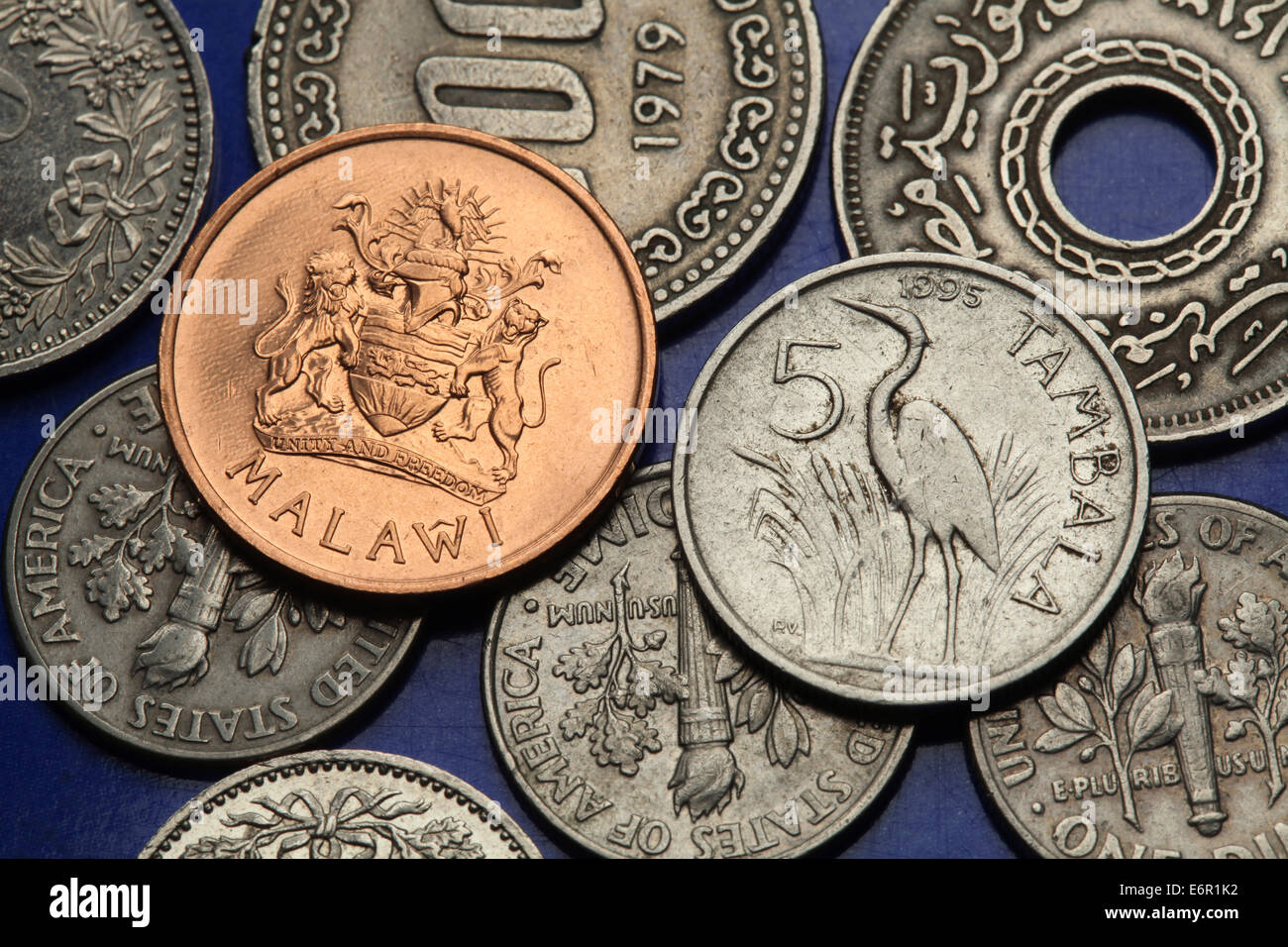 Münzen von Malawi. Purpurreiher (Ardea Purpurea) und Malawi Wappen in Malawi Tambala Münzen abgebildet. Stockfoto