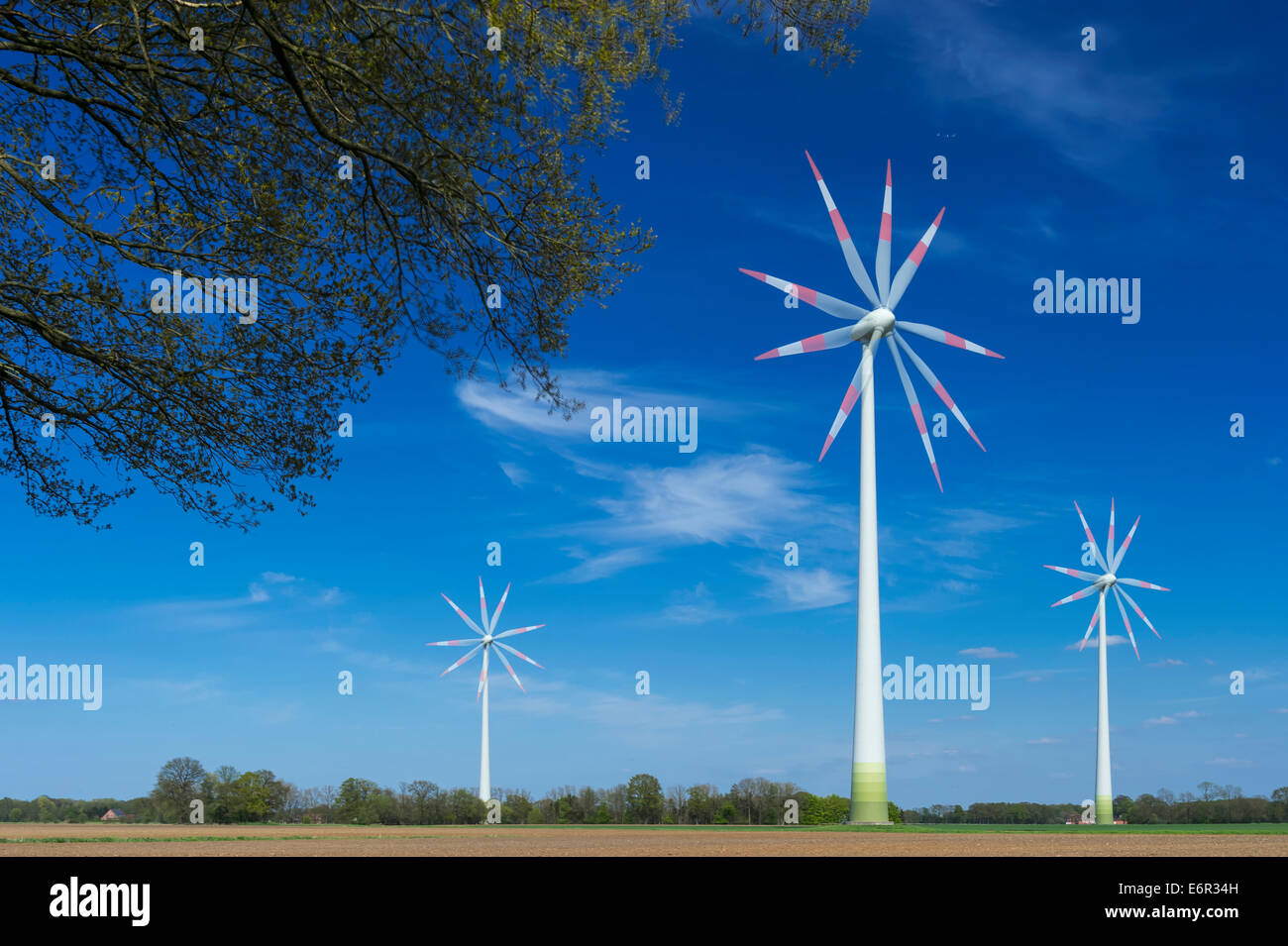 Wind-Turbine, Carum, Vechta, Landkreis Vechta, Oldenburger Münsterland, Niedersachsen, Deutschland Stockfoto