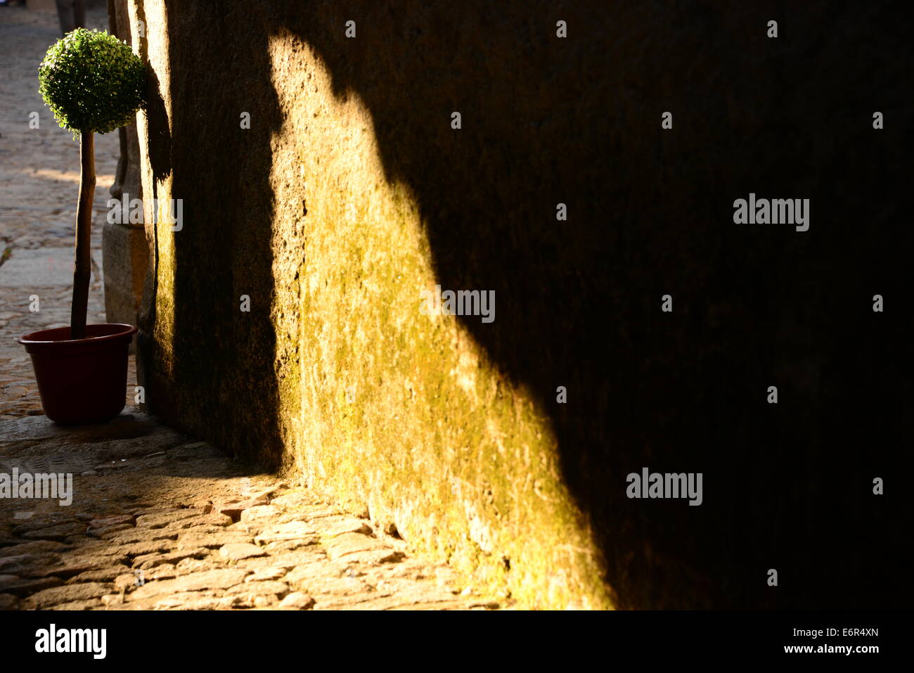 Die untergehende Sonne in der Plaza Major in dem kleinen Dorf La Alberca, Spanien Stockfoto