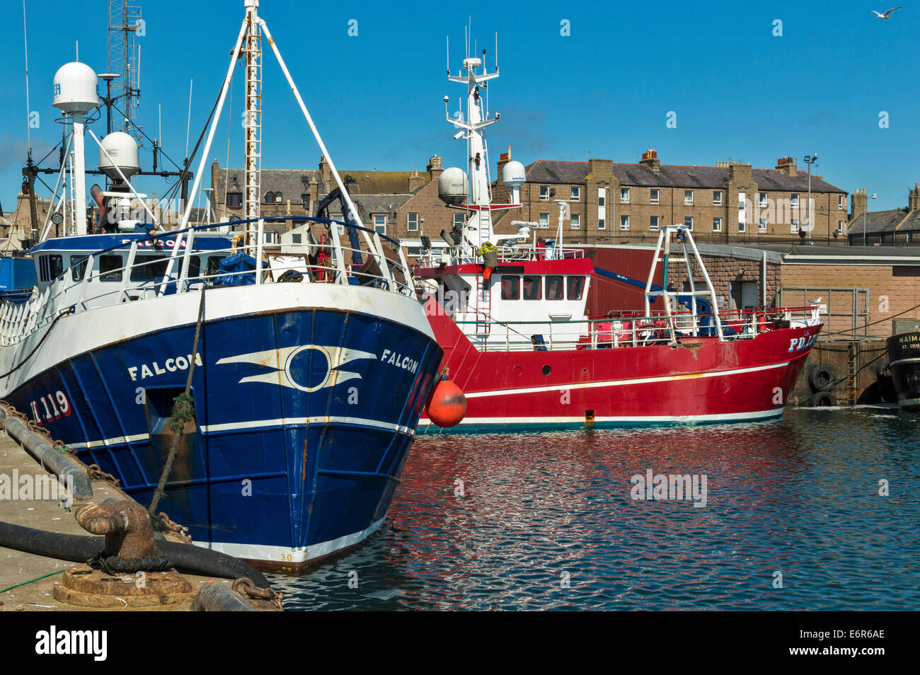 PETERHEAD HAFEN ABERDEENSHIRE FISCHKUTTER VERTÄUT IM FISCHEREIBEREICH Stockfoto