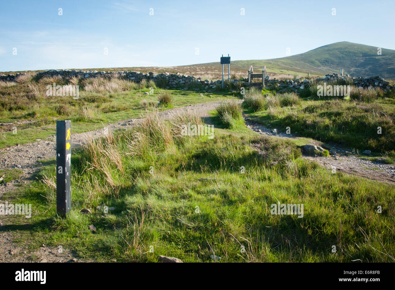 Markierte Wanderweg in Irland Wicklow Mountains Nationalpark mit Blick auf Djouce Berg Stockfoto