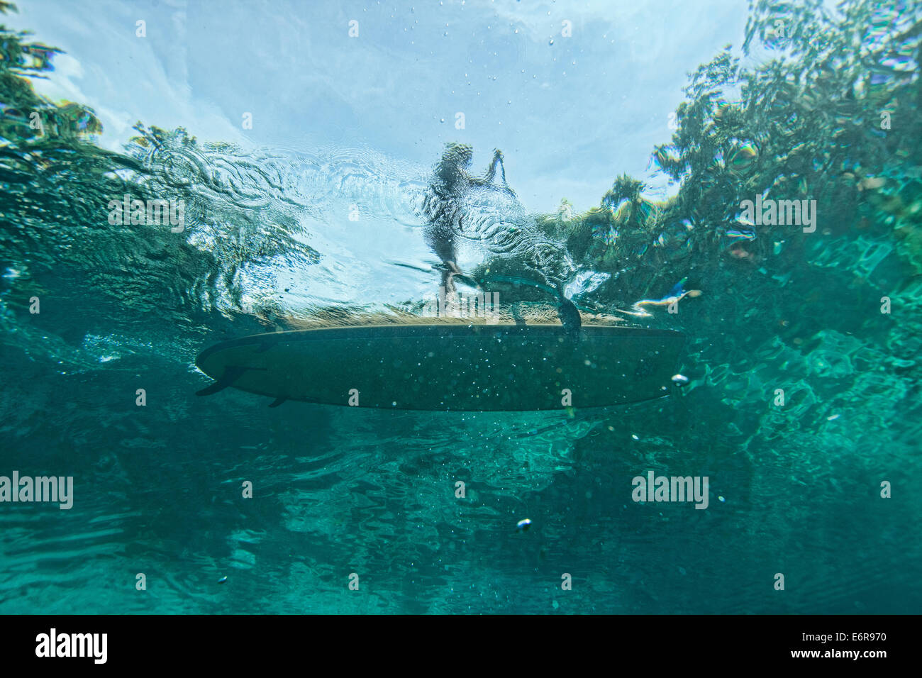 Unterwasserbilder mit dem Fotografen nach oben auf dem Stand up Paddle Board auf der Oberfläche im kristallklaren Wasser Stockfoto