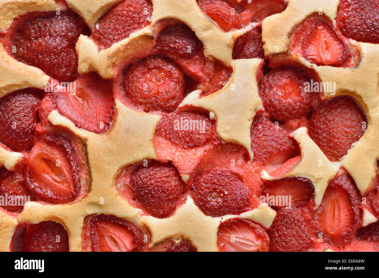 Biskuittorte ohne fett -Fotos und -Bildmaterial in hoher Auflösung – Alamy