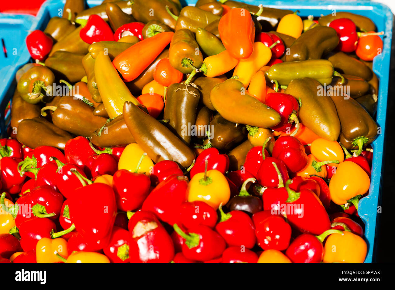 Anzeige der frischen Chilis, Bremen Vegatable Markt, Bremen, Deutschland. Stockfoto