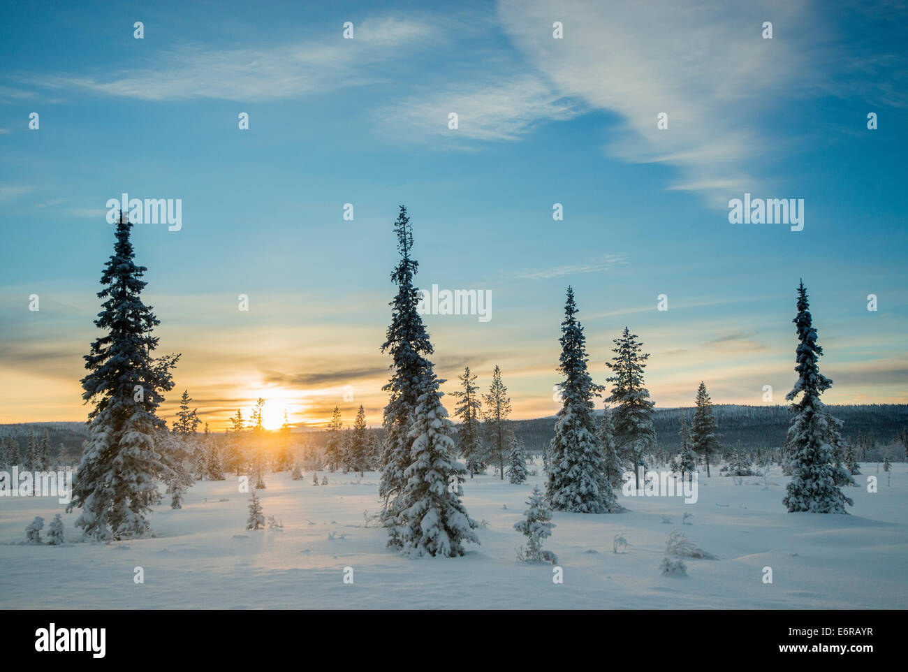 Winterlandschaft mit viel Schnee in den Sonnenuntergang. Stockfoto