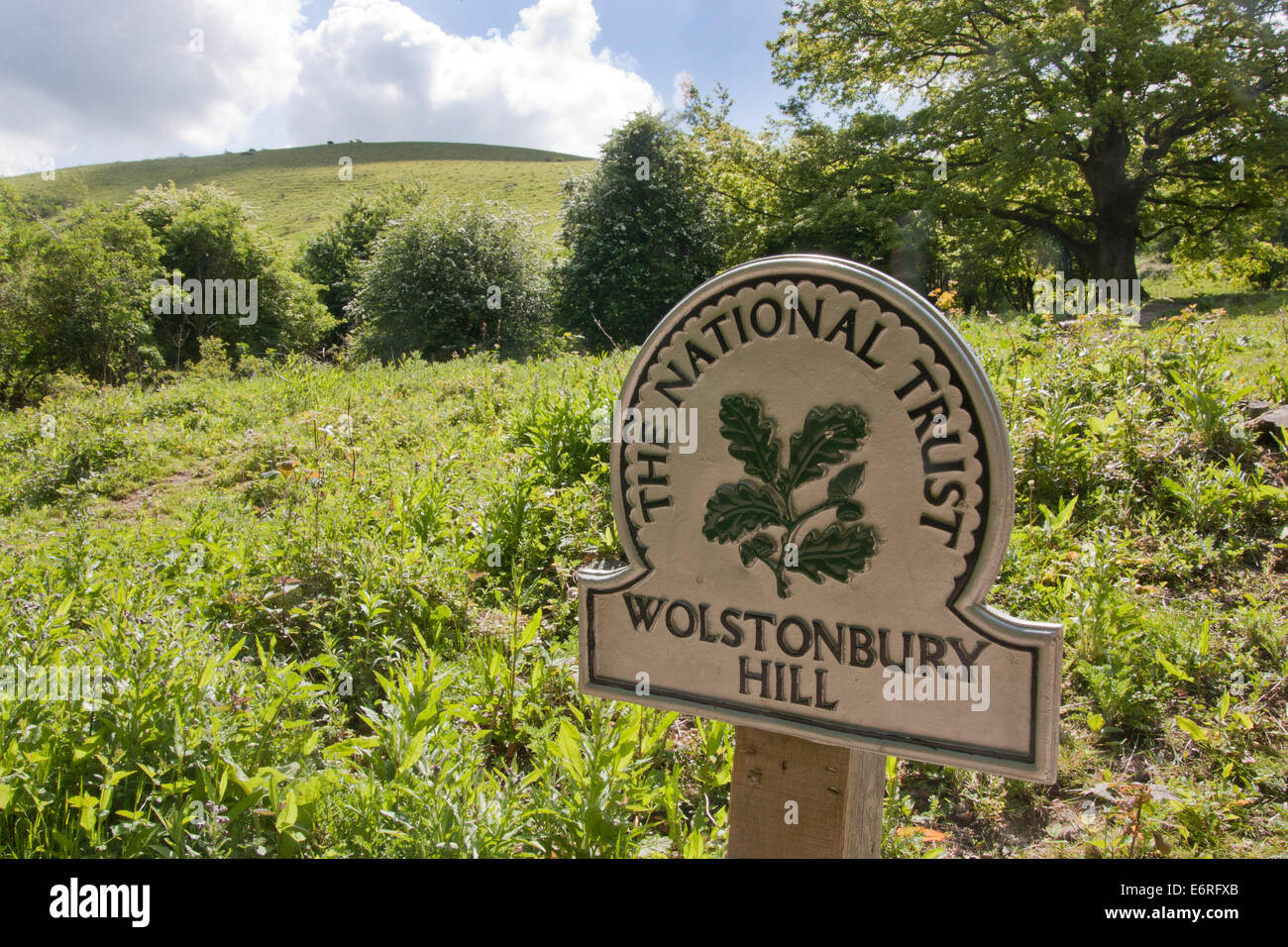 National Trust Zeichen, Wolstonbury Hill, Hurstpierpoint West Sussex Stockfoto