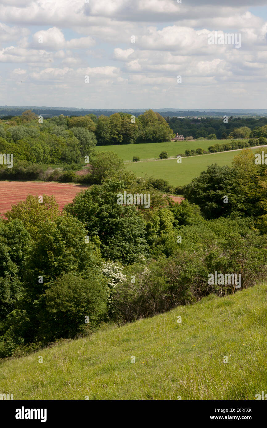 Aussicht vom Wolstonbury Hill, South Downs, West Sussex, England Stockfoto