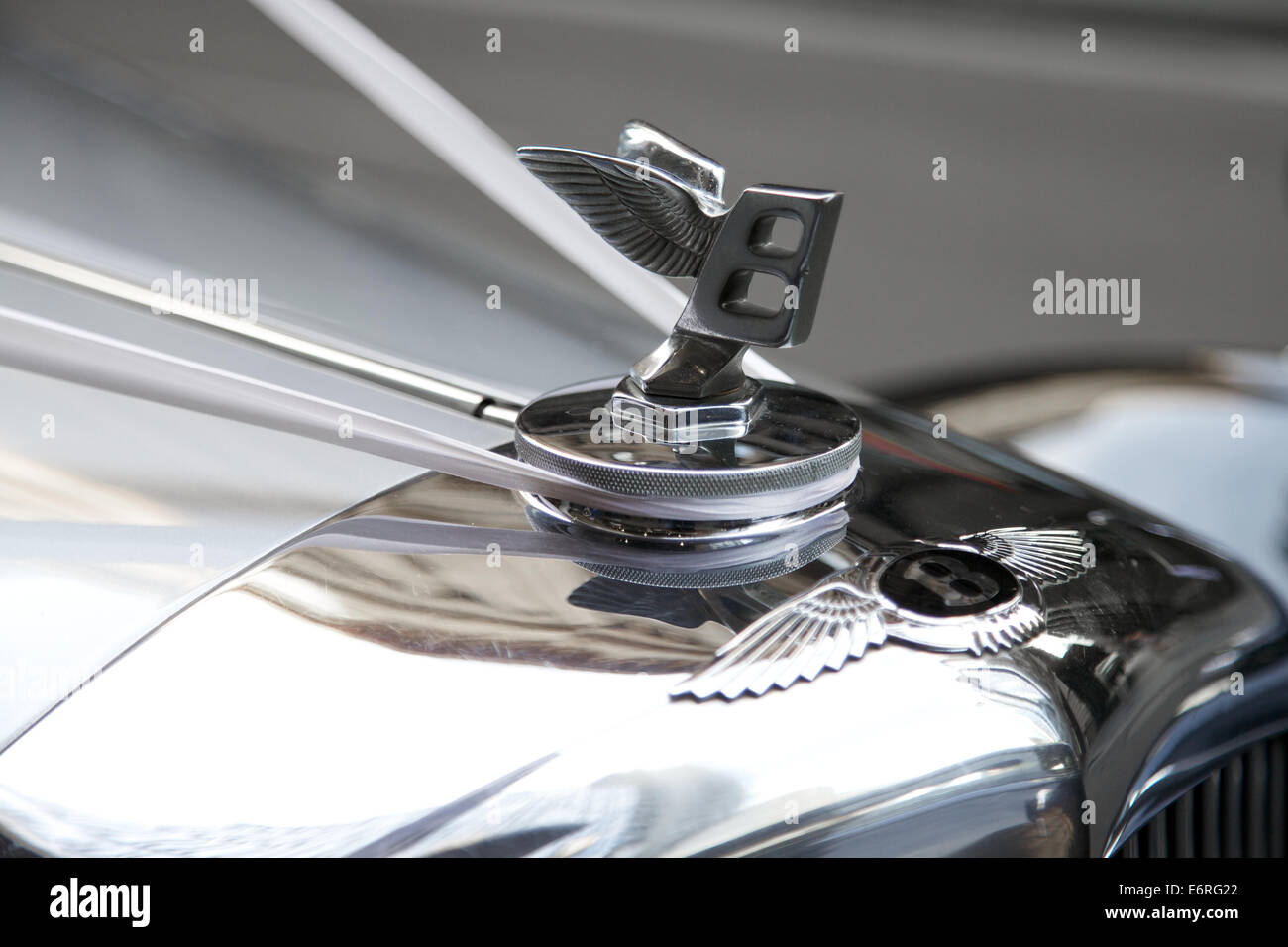 Bentley, mit dem berühmten geflügelten Emblem-Maskottchen Stockfoto