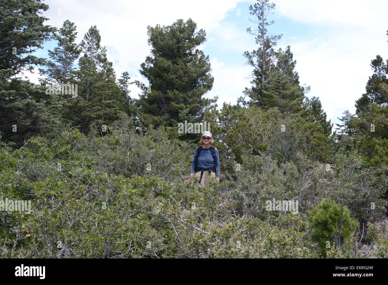 70 Jahre alte Frau, Wandern in den Sandia Bergen von New Mexico - USA Stockfoto