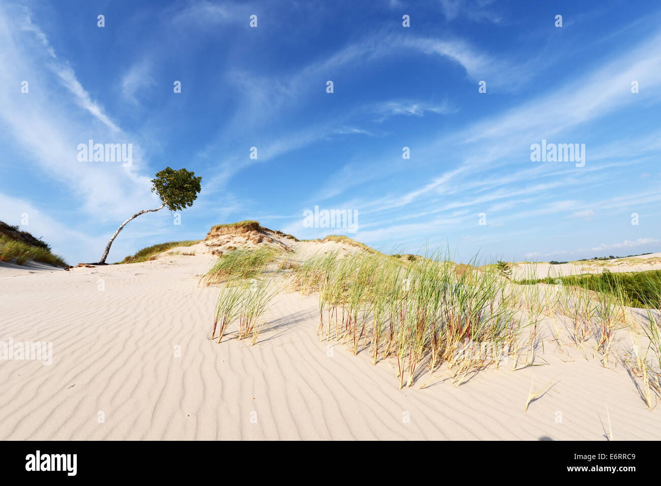 Wüstenlandschaft Slowinski Nationalpark Polen Ostsee Stockfoto