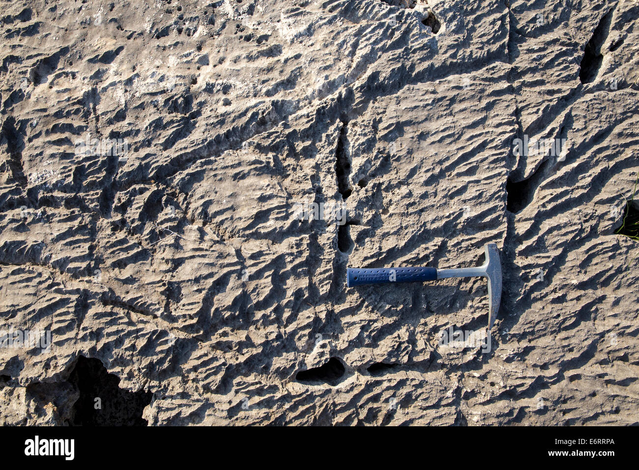 Ein geologe Hammer auf ein verwittertes Kalkstein Oberfläche mit Muster von Spalten und Risse. Stockfoto