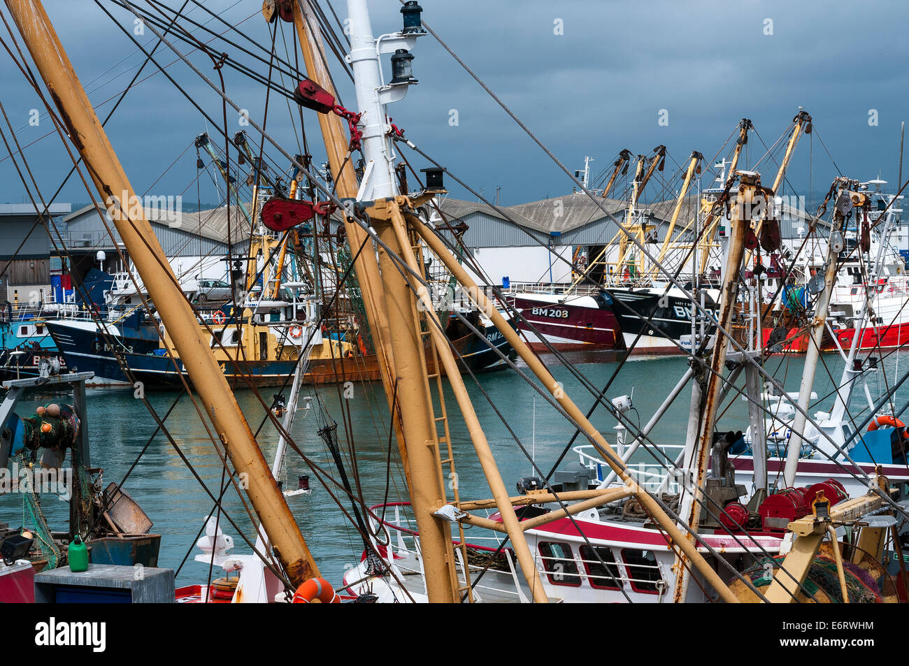 Brixham Fischereiflotte im Hafen, Strand, Strahl Trawler, Englisch Baumkurrentrawlern, South Devon, England, Angeln, Schwimmen, groß, Ferien Stockfoto
