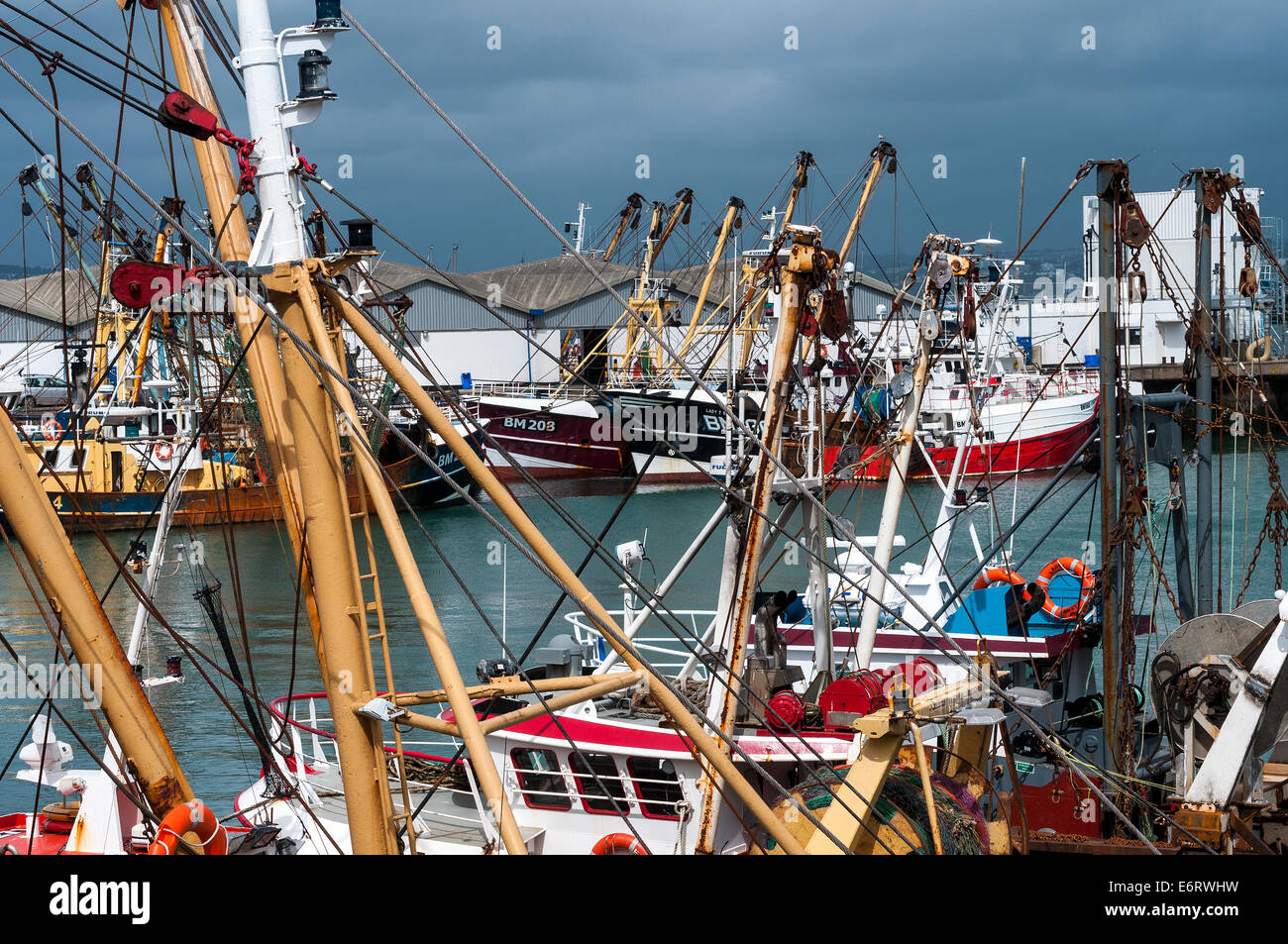Brixham Fischereiflotte im Hafen, Strand, Strahl Trawler, Baumkurrentrawlern, South Devon, England, Englisch, Angeln, Schwimmen, Urlaub Stockfoto