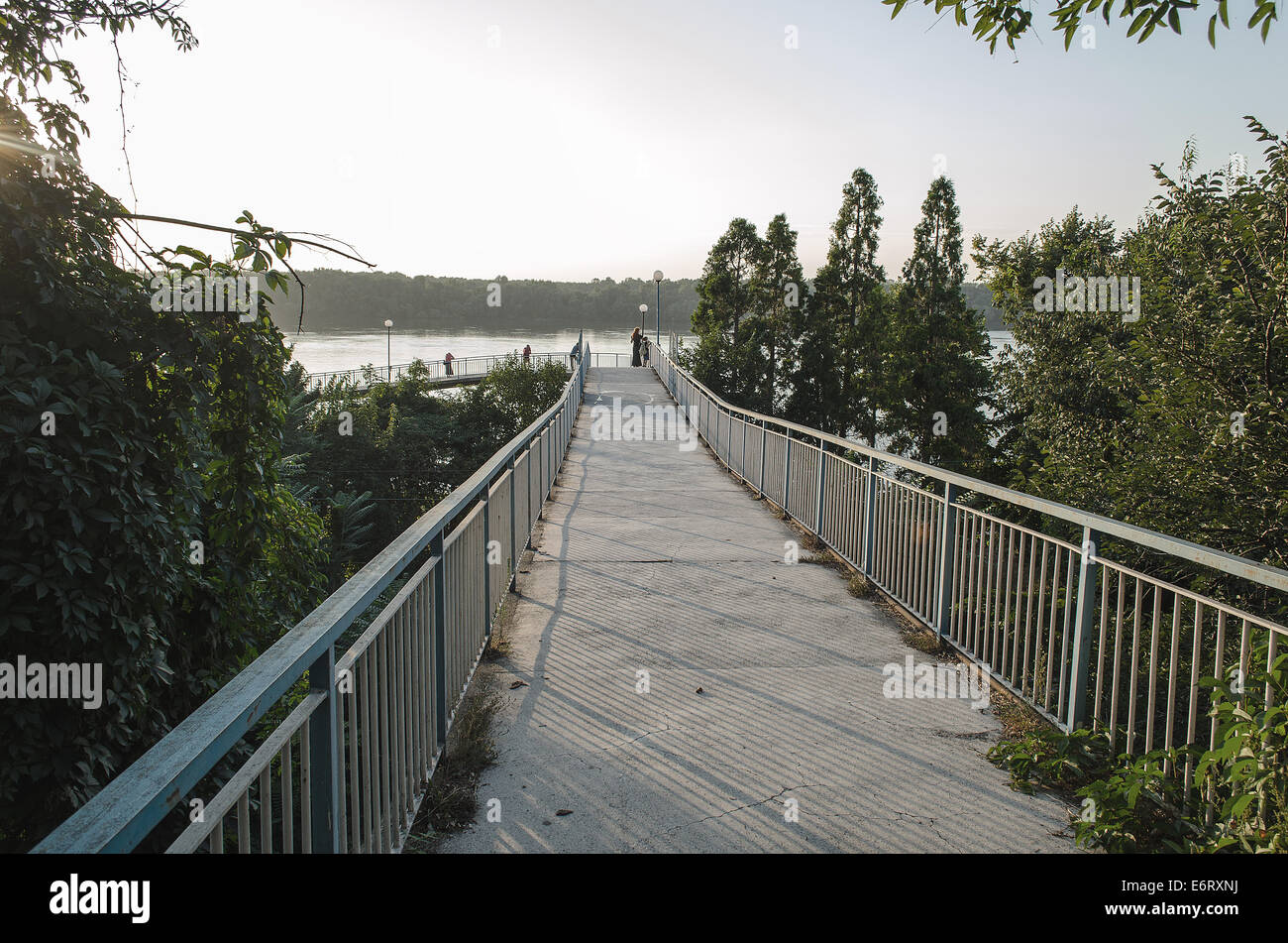 Ein schöner nebligen Morgen in der Donau - niedrige Sättigung Stockfoto