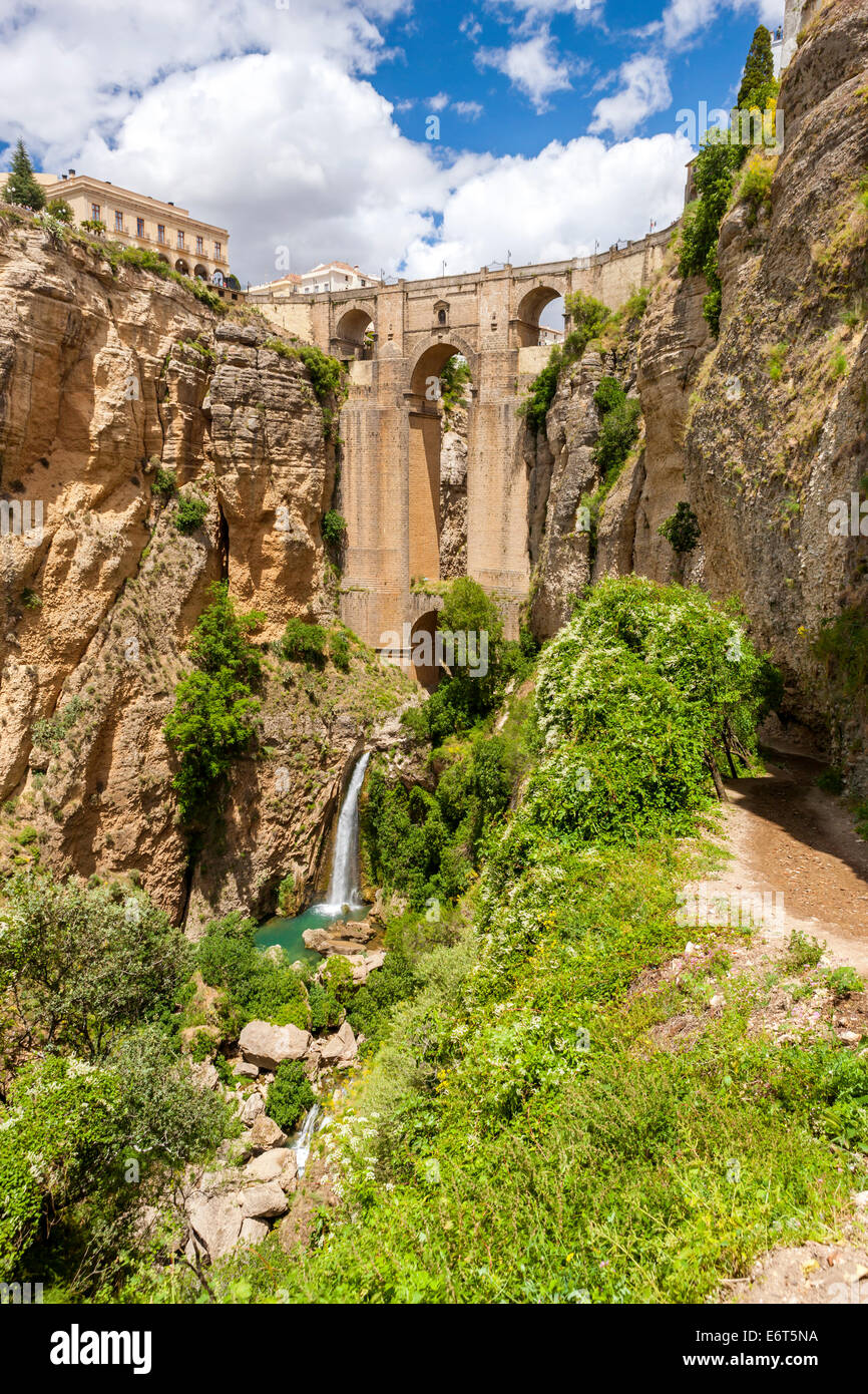 Die Brücke Puente Nuevo über Guadalevín in El Tajo Schlucht, Ronda, Malaga Provinz, Andalusien, Spanien, Europa. Stockfoto