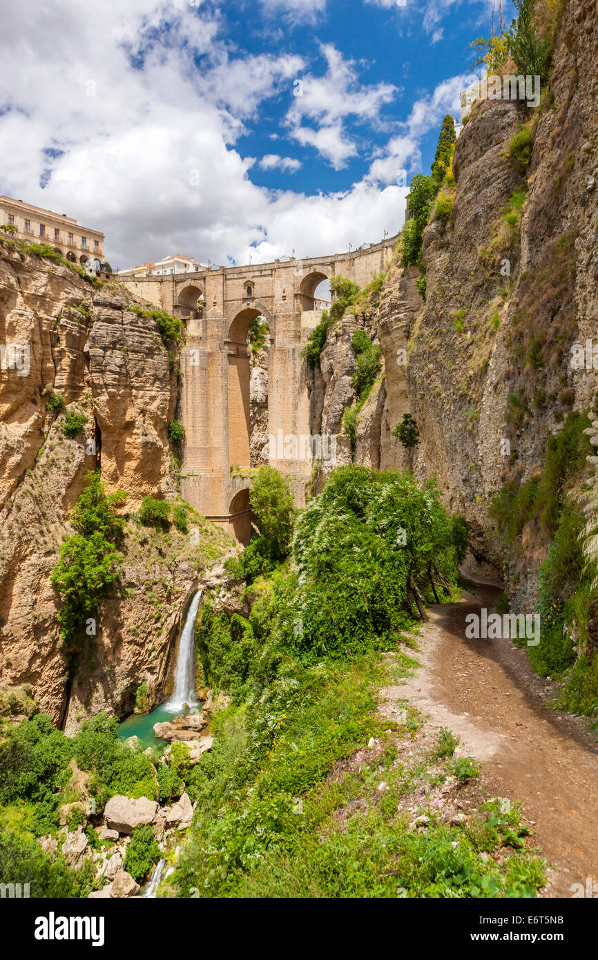 Die Brücke Puente Nuevo über Guadalevín in El Tajo Schlucht, Ronda, Malaga Provinz, Andalusien, Spanien, Europa. Stockfoto