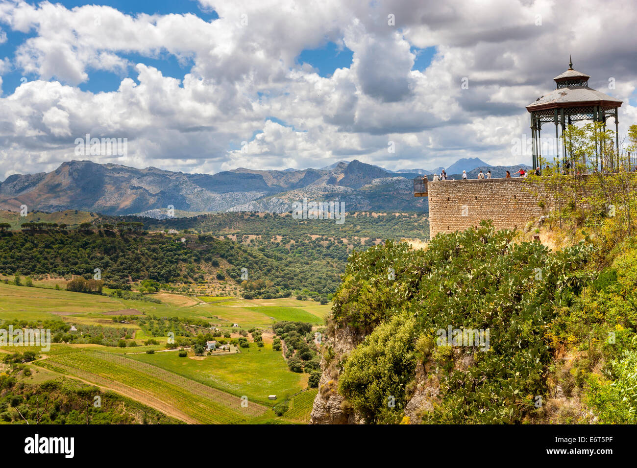 Landschaft in der Nähe von Ronda aus Alameda del Tajo, Ronda, Malaga Provinz, Andalusien, Spanien, Europa. Stockfoto