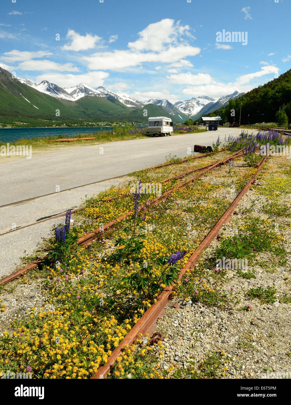 Überwucherten Gleis neben einem norwegischen Fjord. Stockfoto