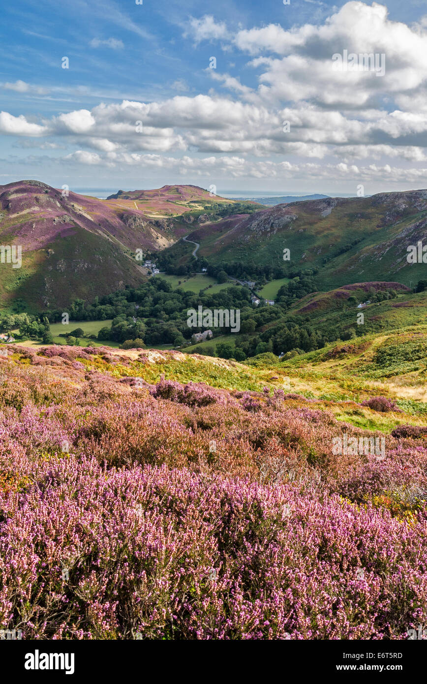 Conwy Berg & Sychnant Pass Stockfoto