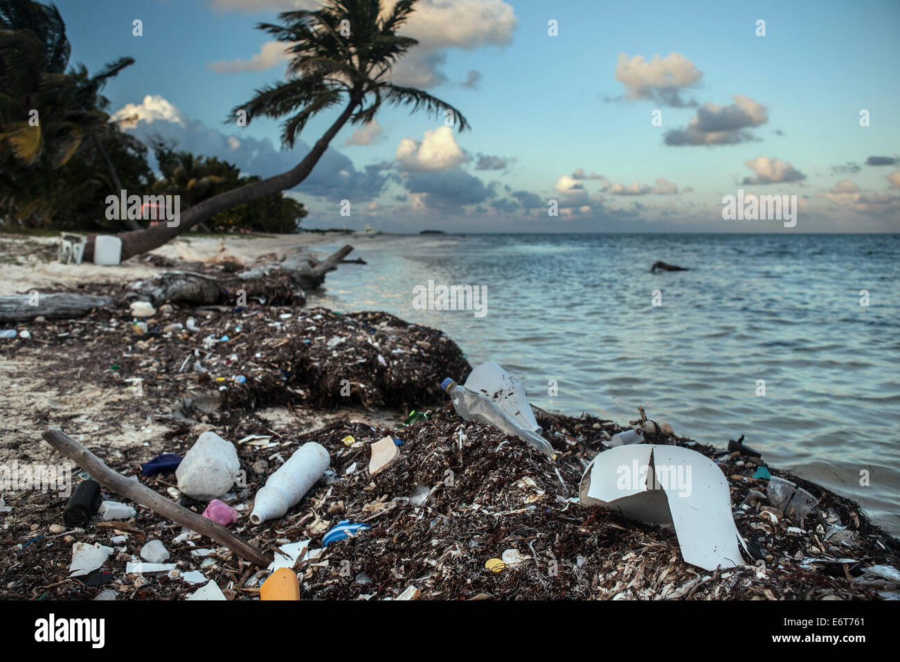 Plastikmüll angeschwemmt am Ufer, Turneffe Atoll, Karibik, Belize Stockfoto