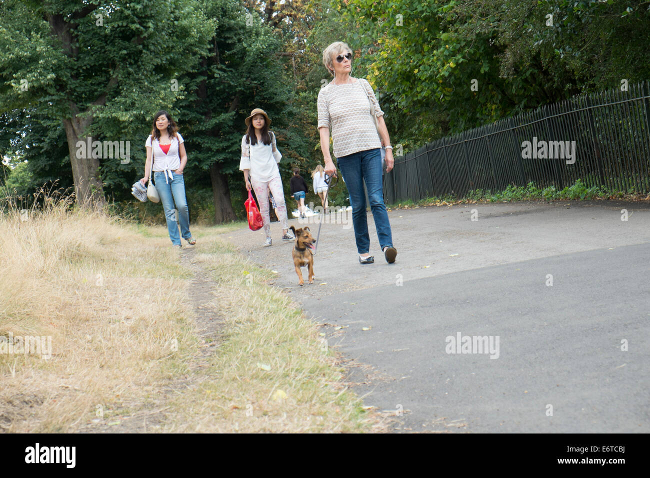 Menschen zu Fuß, mit Hund, im Londoner Hyde Park Stockfoto